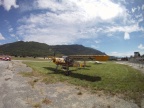 réplique de Fieseler  Storch